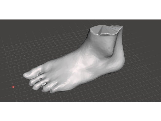 Standard Foot Scans by oliverbrossmann5