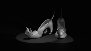 Crazy Cat 3D Shoes Model
