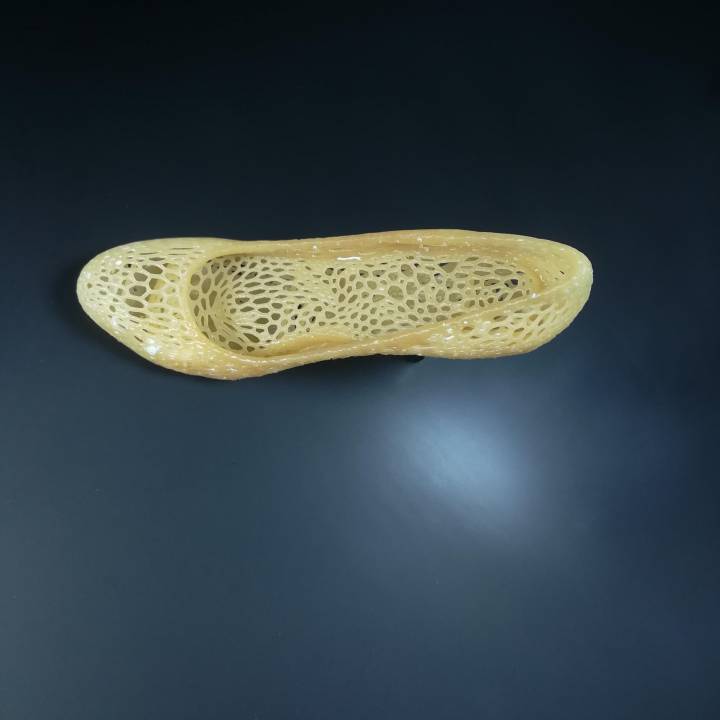 Shoes design Voronoi by Sergei