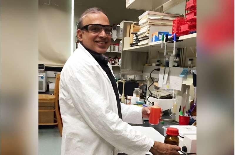 Challa Kumar, professor emeritus of chemistry, in his lab. Credit: University of Connecticut