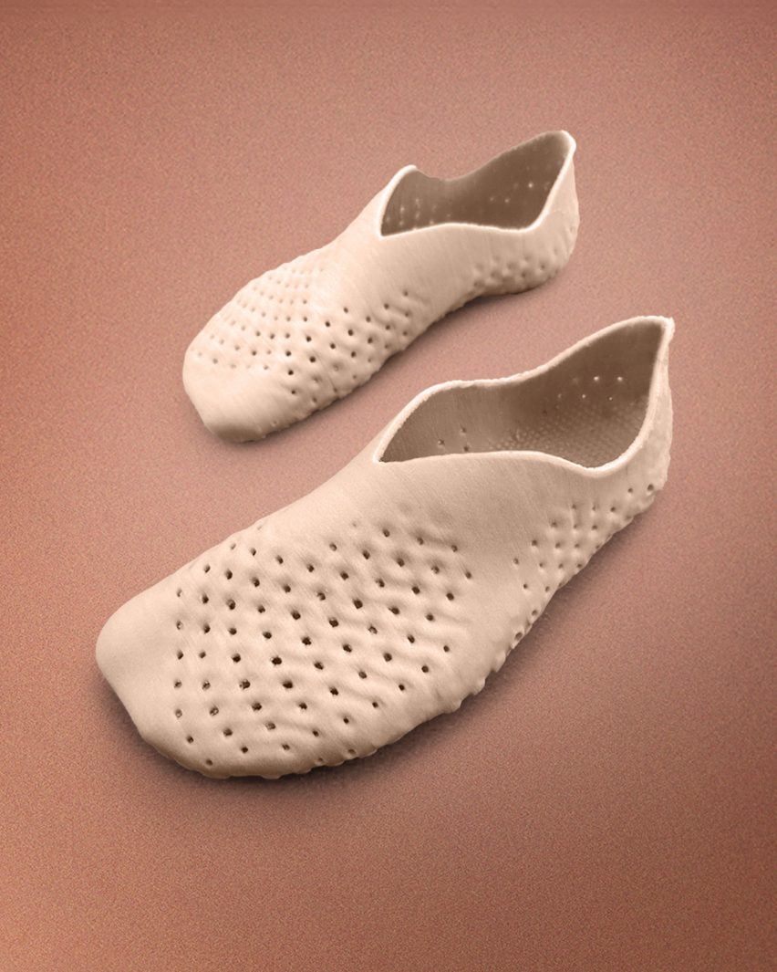 Biodegradable shoe