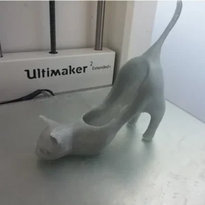 3D STL Crazy Cat Shoes - Fun and Unique 3D Model