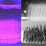 Featured image of an advanced 3D printer extruding ultra-fine, continuous polymer fibers via embedded solvent exchange, illustrating high-precision additive manufacturing for biomedical engineering, flexible electronics, and soft robotics research.