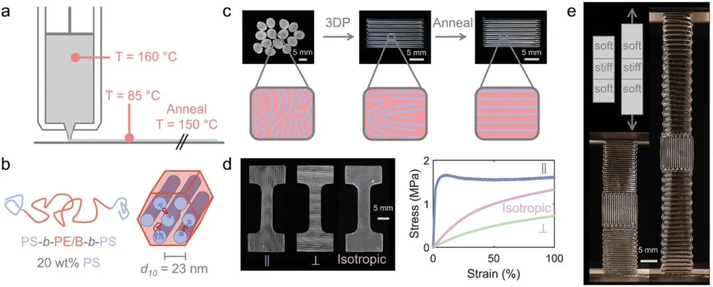 3D printing-induced alignment of TPE triblock copolymers. (CREDIT: Advanced Functional Materials)