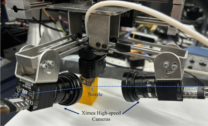 Local vision system
