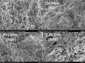 Cryo-SEM images comparing gel microstructures at different frequencies.