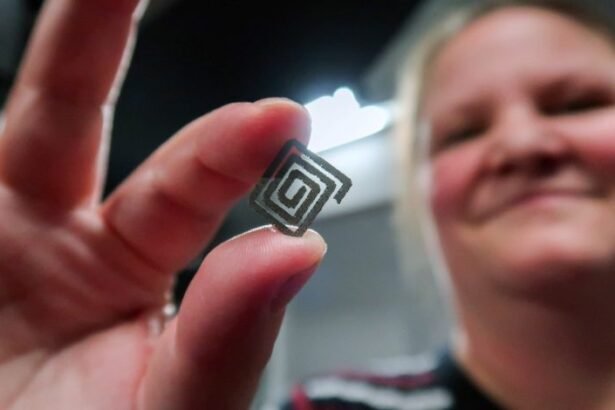 Credit: Shu Shu Zheng / RMIT University.