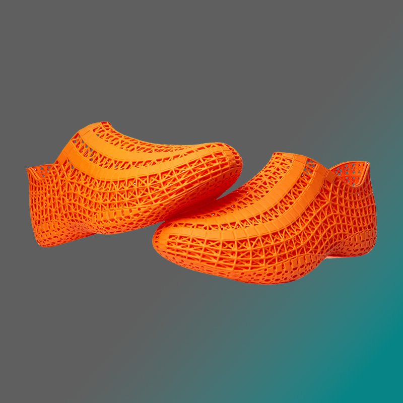 3D Printed Shoes Flux